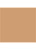Nude Finish Tinted Moisturizer SPF 15 - getinte dagcrème - Medium to Dark Tint