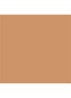 Nude Finish Tinted Moisturizer SPF 15 - getinte dagcrème - Dark Tint