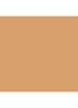 Skin Foundation Stick - 4 Honey
