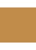 Skin Foundation Stick - 6 Golden
