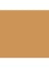 Skin Foundation Stick - 5.75 Golden Honey