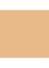 Skin Foundation Stick - N-030 Neutral Sand