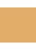 Skin Foundation Stick - W-048 Golden Beige