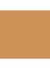 Skin Foundation Stick - C-056 Cool Natural
