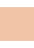 Skin Foundation Stick - C-024 / 0.75 Ivory