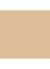 Skin Foundation Stick - C-026 / 1.25 Cool Ivory