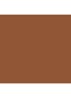 Skin Foundation Stick - N-090 Neutral Walnut