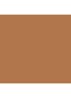 Skin Foundation Stick - Neutral Golden