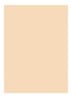 Skin Full Cover Concealer  - WARM IVORY