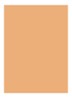 Skin Full Cover Concealer  - NATURAL