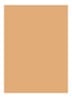 Skin Full Cover Concealer  - NATURAL TAN