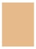 Skin Full Cover Concealer  - HONEY