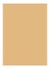 Skin Full Cover Concealer  - WARM HONEY