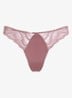 Instinct string van kant - Oudroze