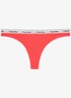Modern string met logoband - Punch Pink-XKP / Roze