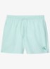 Zwemshorts met logo en trekkoord - Mint
