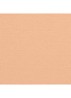 LANGHOUDENDE UITERST COMFORTABELE COMPACTE FOUNDATION MET PERFECTE FINISH - B60