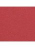 STRALENDE FLUWEELACHTIGE LIPPENSTIFT - 58 ROUGE VIE 