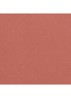 STRALENDE FLUWEELACHTIGE LIPPENSTIFT - 62 LIBRE 