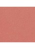 STRALENDE FLUWEELACHTIGE LIPPENSTIFT - 76 VERSATILE 