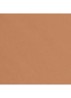 TEINT BELLE MINE NATURELLE HYDRATATION ET LONGUE TENUE  - B110 