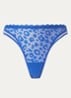 Blauw