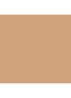 Beyond Perfecting Foundation + Concealer - Nutty