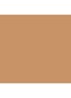 Beyond Perfecting Foundation + Concealer - Cream Caramel