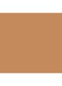 Beyond Perfecting Foundation + Concealer - Ginger