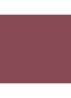Chubby Stick Moisturizing Lip Colour Balm - getinte lipbalsem - Grape-Up