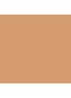 Even Better Concealer - WN 114 Golden