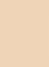 Dior Backstage Face & Body Foundation - 2W Warm