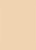Dior Backstage Face & Body Foundation - 2WO Warm Olive