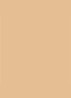 Dior Backstage Face & Body Foundation - 4WO Warm Olive