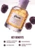 Lavender berry