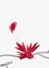 Roze