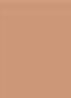 Terracotta Powder - bronzer - 03 MOYEN DORÉ / MEDIUM WARM