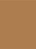 Mini Tinted Moisturizer Natural Dewy - travel size getinte dagcrème  - 4N TEAK