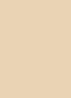  Tinted Moisturizer Light Revealer Natural Skin Illuminator  - getinte dagcrème - 0N1 PETAL