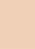 Tinted Moisturizer Natural Dewy - getinte dagcrème  - 1C CAMEO