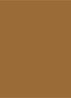 Tinted Moisturizer Natural Dewy - getinte dagcrème  - 4W OCHRE