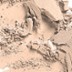 Blot Powder / Pressed - poeder - Medium Dark