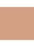 Matte Bronze