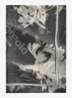 Sjaal met print - Dark Grey_Multi_02-0533 / Grijs