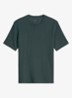 T-shirt met logo - Mangrove-0362 / Groen