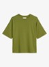 T-shirt met ronde hals - Shaded Fern / Groen
