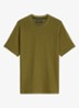 T-shirt met ronde hals - Fresh Seaweed-2945 / Groen