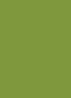 Gel Stickers - nagelstickers - Sparklink green