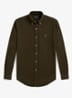 Company Olive-2YWD