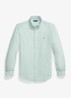 Custom fit gestreept Oxford overhemd - Cruise Green / White / Lindegroen